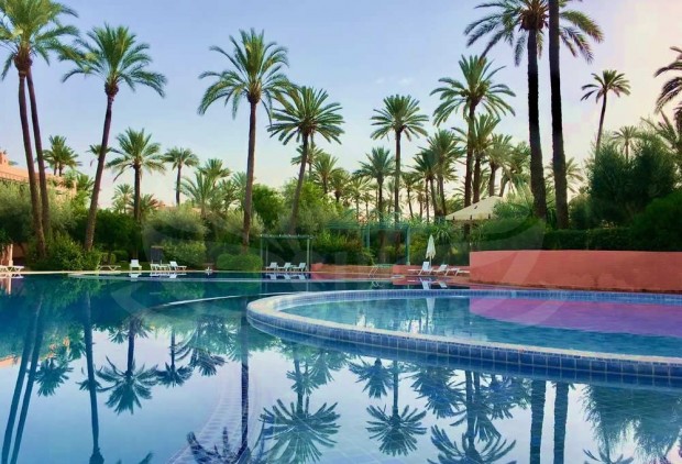 A vendre appartement Palmeraie village - 3