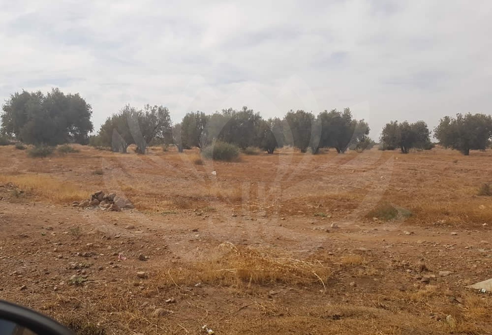 Sale Land on Ourika road