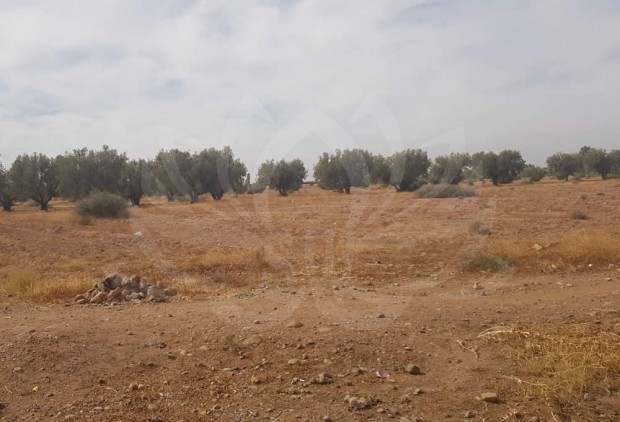 Sale Building land on Ourika road