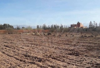 Terrain a vendre a Marrakech