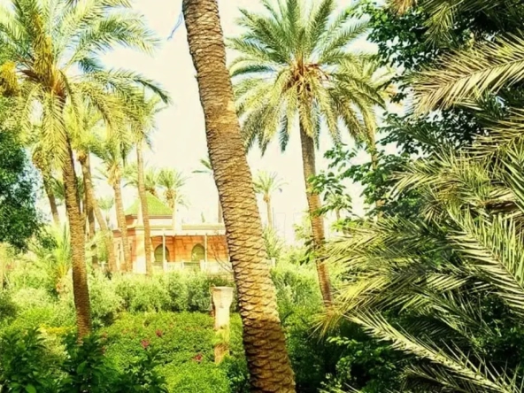 Appartement A Vendre Palmeraie Village
