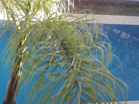 Villa en location Targa