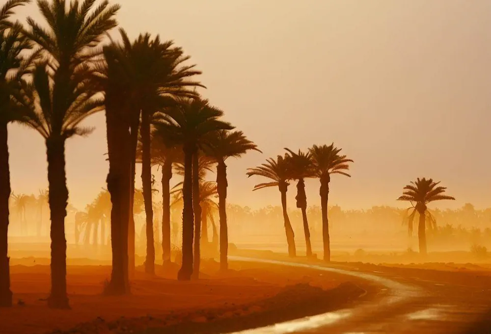 Terrain à vendre route Essaouira
